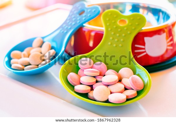 Animal food supplements concept. Bowl and spoon\
full of tablets, pills, softgel, capsule, treats. Dietary\
supplements for cats. Vitamins for cats and dogs. Prevention\
medicines for animals.