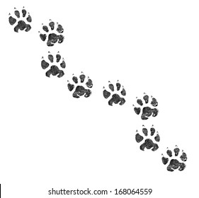 Animal footprint  - Shutterstock ID 168064559