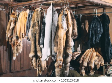Animal fur.  foxes, raccoon, wolf, beaver, mink, nutria hanging after processing.