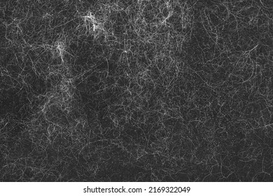 Animal Hair On Black Clothes Background Texture. Close Up Of Cat Hair On Clothes