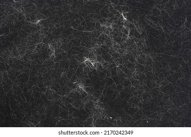 Animal Hair On Black Clothes Background Texture. Close Up Of Cat Hair On Clothes