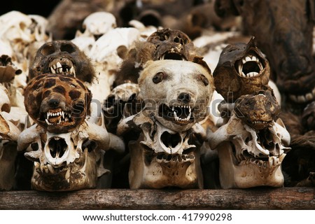 The animal heads for sale in order to use in voodoo rituals, Akodessewa Fetish voodoo market. Lome, Togo, Africa. 