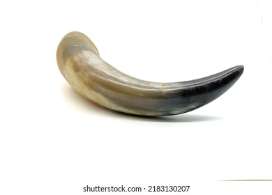 Animal horn for drinking in ancient barbarian peoples. Isolated on white background