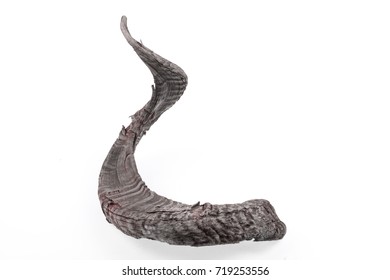 Animal Horn On White Isolated Background Stock Photo 719253556 ...