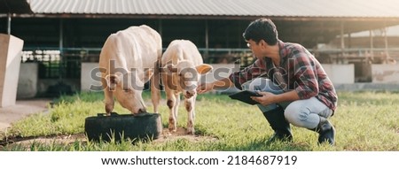 Animal husbandry in cattle farm. Asian man farmer use application on digital tablet for monitoring cattle health. Agriculture cattle farm. Smart farmer 4.0 concept.