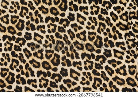 Animal leopard print seamless pattern, abstract spotted print, leopard or cheetah fur texture

