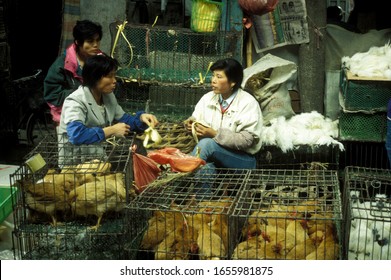 中华料理图片 库存照片和矢量图 Shutterstock