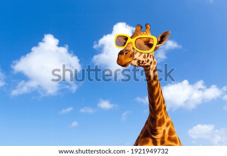 animal, nature and wildlife concept - funny giraffe in sunglasses over blue sky and clouds on background