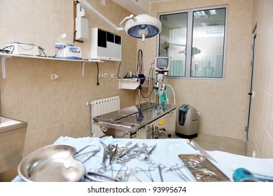 Animal And Pet Surgery Hospital Room Indoor With Tools And Instruments