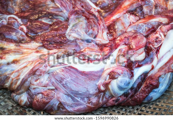 Animal placenta from\
cow,placenta will come out following the delivery birth of a calf,\
local food.