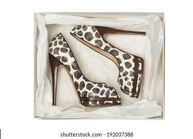animal print high heel shoes in box isolated on white background