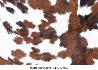 Animal Real Fur Background