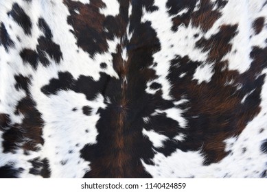 Animal Real Fur Background Stock Photo 1140424865 | Shutterstock