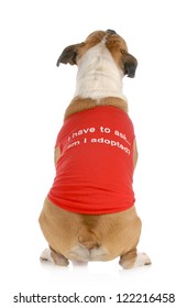 animal rescue or adoption - dog with back to camera with message on shirt "I have to ask .... am I adopted?"