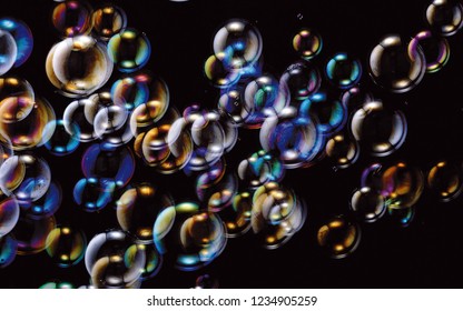 Animal Shape Funny Bubbles Overlay Transparent in black cute cartoon colorful  round elegant pattern template design idea party theme bubble children kid playful joyful bokeh