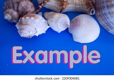 Animal Shell, Summer Vacation, Marine Background With Example Text.