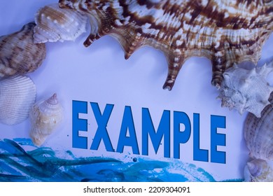 Animal Shell, Summer Vacation, Marine Background With Example Text.