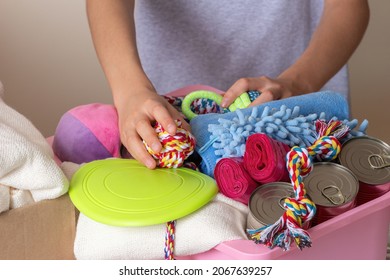 Animal Shelter Donations. Volunteer Hands Collecting Donations, Preparing Donation Boxes With Canned Pet Food, Blankets, Animal Tools, Accessories And Toys For Animal Shelters