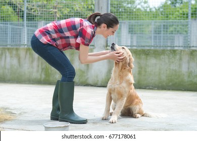 Animal Shelter Volunteer Feeding The Dogs