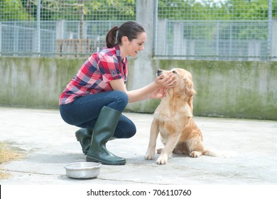 Animal Shelter Volunteer Feeding The Dogs