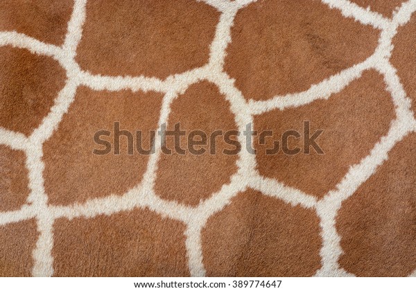 Animal skin background of the patterned fur\
texture on an African\
giraffe