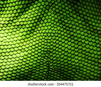 Animal Skin Texture For Concept Of Nature