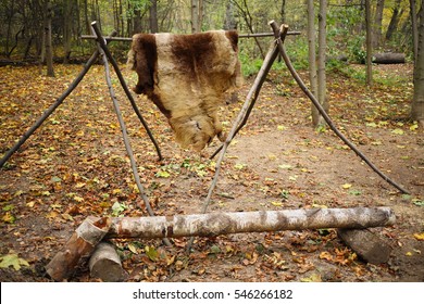 Animal skins drying on wooden stakes in Chukchi camp in autumn forest