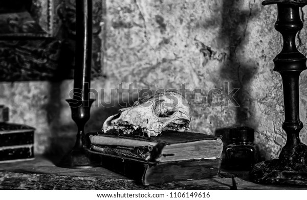 Animal Skull Old Books Detail Antique Stock Photo Edit Now