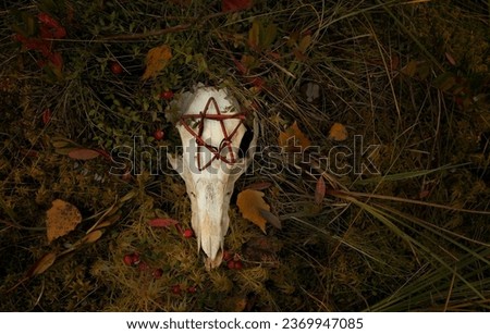 animal skull with pentacle amulet on dark natural abstract background. autumn season. symbol of death, terrible, scary. Mysticism, occultism, Witchcraft. samhain, Halloween concept. top view