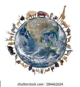 Animal Stand Around World Isolated On Stock Photo (Edit Now) 284462627