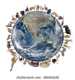animal stand around the world isolated on white background,Element of this image are furnished by NASA