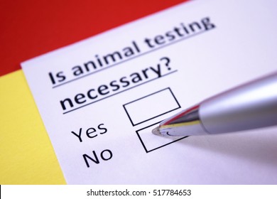 Is Animal Testing Necessary? No
