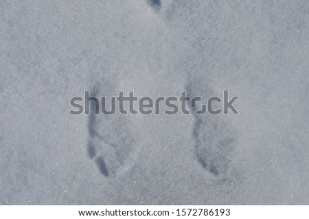 Barefoot tracks in the snow