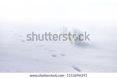 Similar – Image, Stock Photo Sunny winter spot