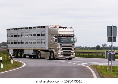 An animal transporter on the motorway
