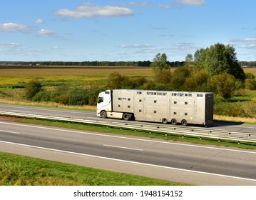 Camión de transporte animal conduciendo por una autopista. Camión semirremolque con animales de granja en remolque en autopista. Logística del transporte ganadero.
