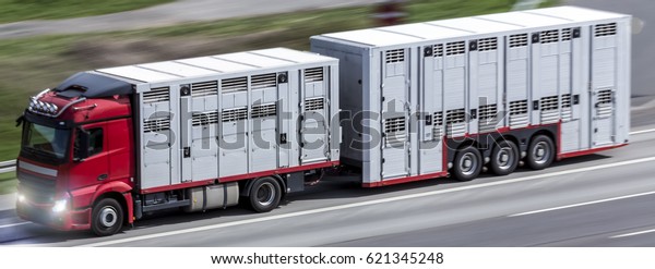 animal\
transporter truck speeding on a\
highway