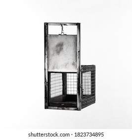 Animal Trap Cage Isolated On White Background