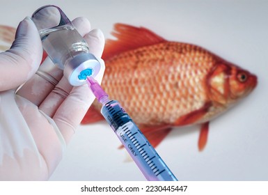 Animal vaccination for fish, which has been tested on fish. Special operations in veterinary clinic. Blurred background. Animal experiments. - Powered by Shutterstock