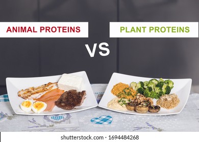 Animal Versus Plant Proteins: One Plate With Beef, Eggs, Salmon, Cheese And Chicken Grill And Another With Nuts, Mushrooms, Broccoli, Lentil, Hummus And Quinoa