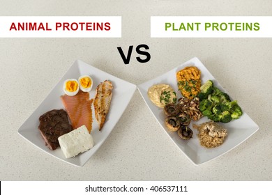 Animal Versus Plant Proteins: One Plate With Beef, Eggs, Salmon, Cheese And Chicken Grill And Another With Nuts, Mushrooms, Broccoli, Lentil, Hummus And Quinoa