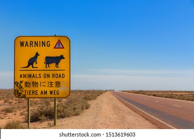 Animal Warning Road Sign - Outback Australia