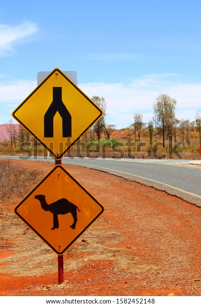 Animal warning\
sign, attention crossing wild camels and narrow road in Uluru Kata\
Tjuta national park,\
Australia