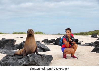 Animal Wildlife Nature Photographer Tourist On Galapagos Looking At Galapagos Sea Lion Taking Photos On Galapagos Cruise Ship Adventure Travel Holidays Vacation, Espanola Island, Ecuador South America