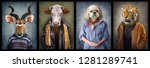 Animals in clothes. People with heads of animals. Concept graphic, photo manipulation for cover, advertising, prints on clothing and other. Antelope, cow, dog, tiger.
