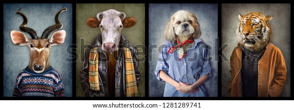 Animals in clothes. People\
with heads of animals. Concept graphic, photo manipulation for\
cover, advertising, prints on clothing and other. Antelope, cow,\
dog, tiger.