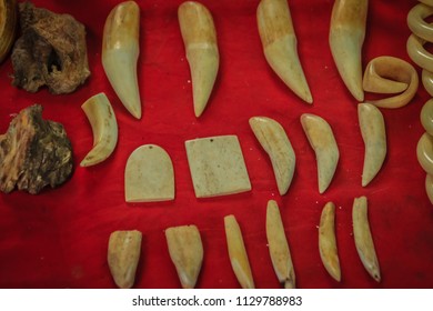 Animal's fang amulet for sale. Souvenirs made of animal's bone and tooth for sale as amulet at the Thai-Cambodia border market.