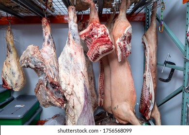 Animals Hang In A Meat Locker In A Butcher Shop Refrigerator