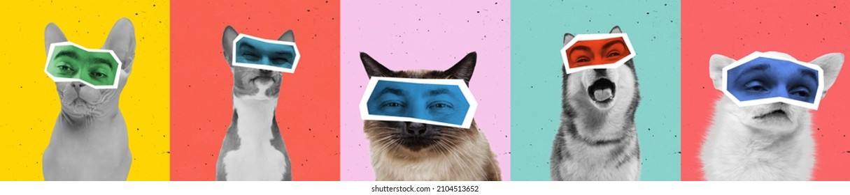 Animals with human emotions. Contemporary art collage with bw portraits of dogs and cats with male eyes isolated over colored background. Concept of design, surrealism, fun, creativity, inspiration. - Shutterstock ID 2104513652