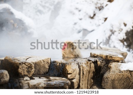 Similar – Image, Stock Photo Japanese Onsen